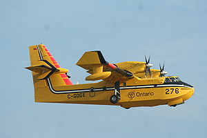 amphibi