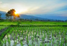 Photo of Indonesia Sebenarnya