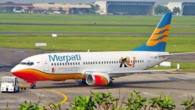 Photo of Kemungkinan Penyebab Merpati Terjerembab !