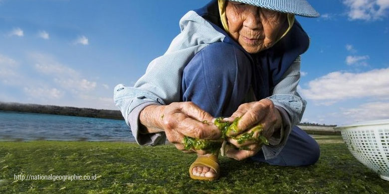 Photo of Kenapa Orang Panjang Umur Sementara yang Lain Tidak?