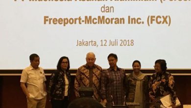 Photo of Freeport, Freeport, dan Freeport lagi