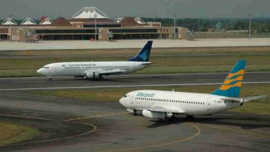 Photo of Nasib Garuda dan Merpati di Pangkuan Ibu Pertiwi